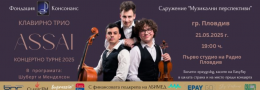 Концерт на клавирно трио 
