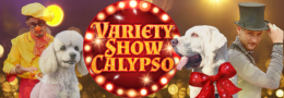 Цирк - Вариете Калипсо/Variety Calypso гр.Кочериново 